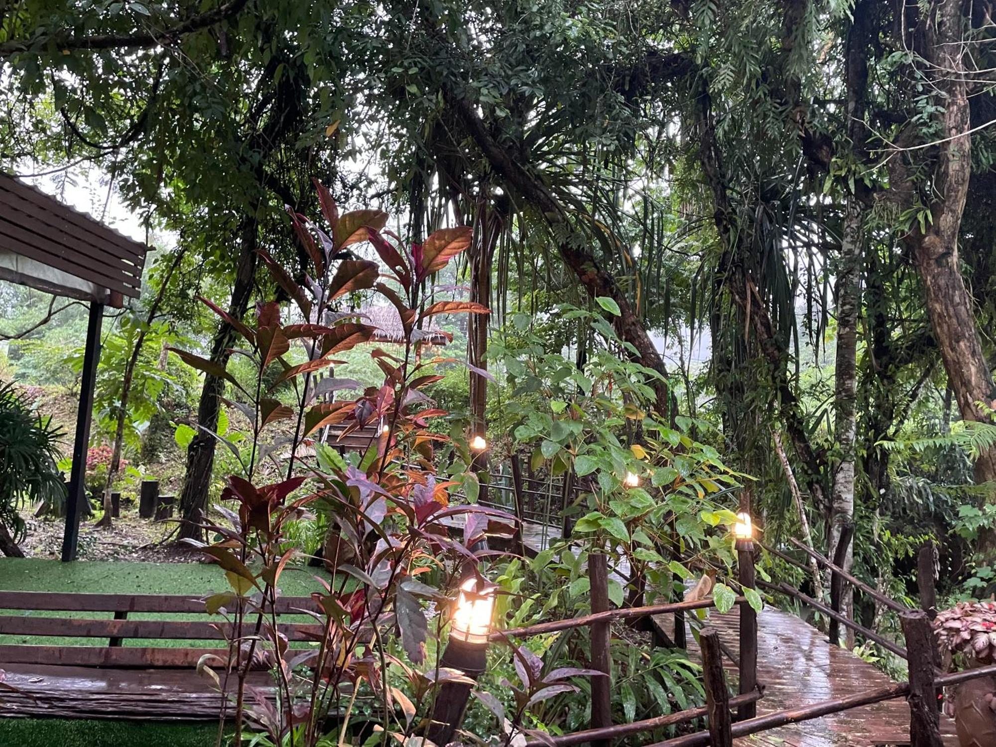 Khaosok * Khao Sok National Park