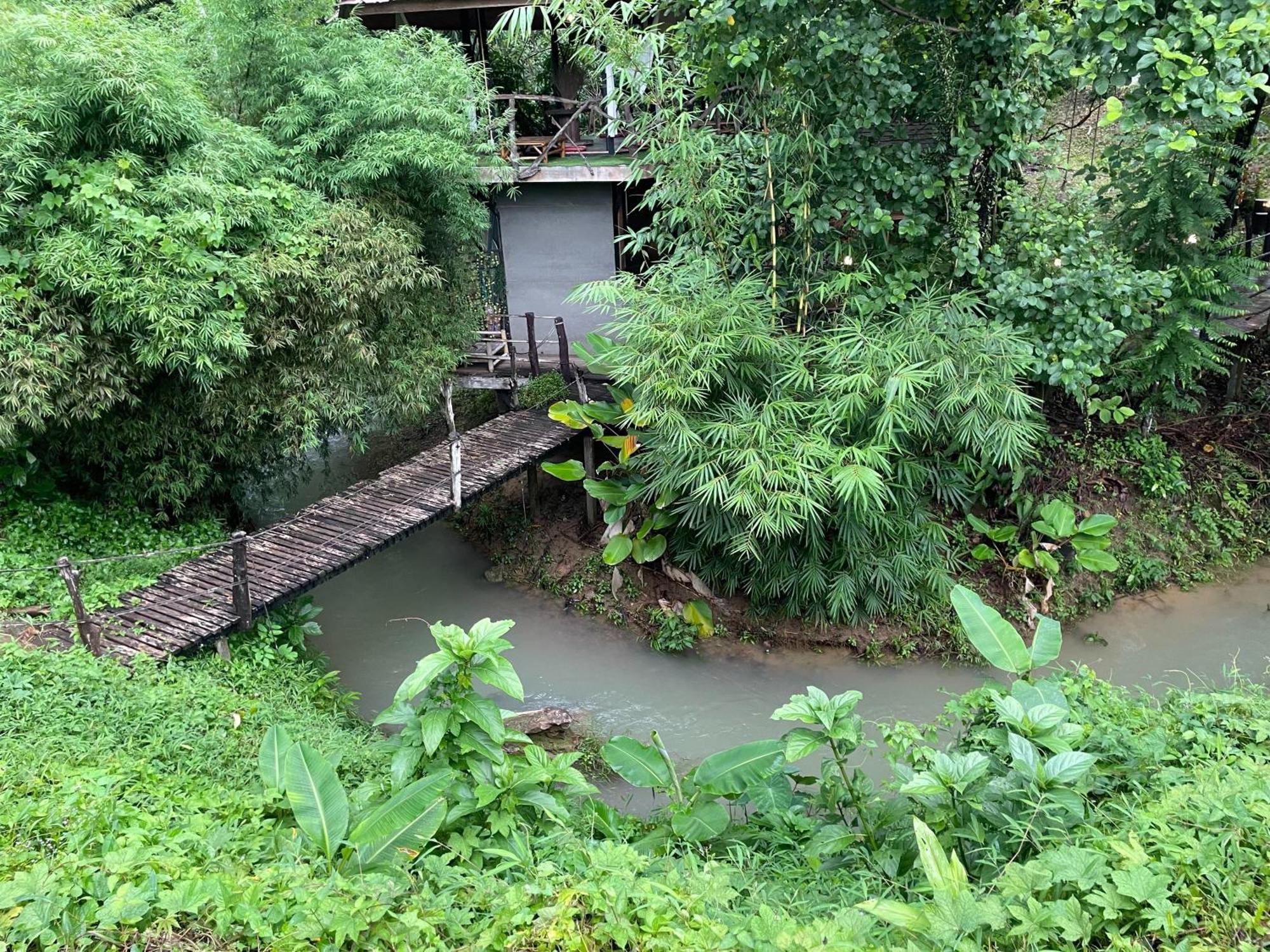 农家乐 Khaosok Khao Sok National Park